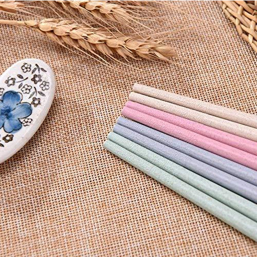 Reusable Chopsticks - EcoSlurps Store