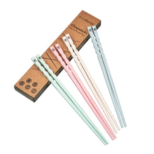Load image into Gallery viewer, Reusable Chopsticks - EcoSlurps Store