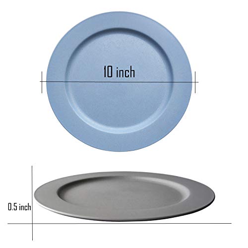 Dinner Plates Made From Recycled Wheat Straw - EcoSlurps Store